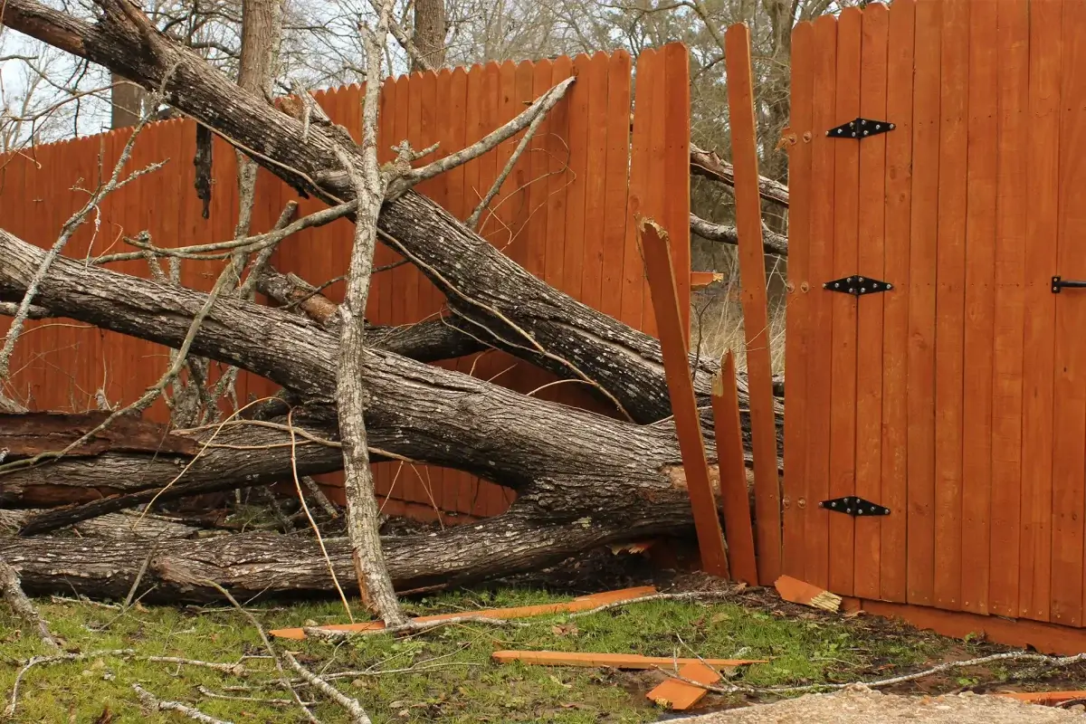 Tree Branch Falls on Neighbor's Property: Who Pays for Damage in NJ?